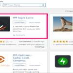 What is WP Super Cache and How it Works